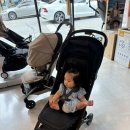 위례대로4길 | 휴대용 유모차 - 줄즈 에어2 내돈내산 후기 (베네피아 온누리 상품권)