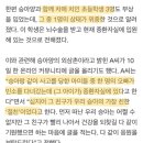 대전 음주운전 사고 생존자 한 아이도 위중한 상태라 함 이미지