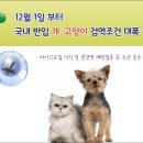 12월 1일부터 개, 고양이 국내반입 검역조건 강화 이미지