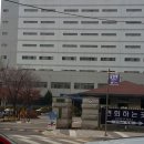 숯골 그집 쭈꾸미 이미지