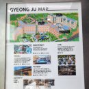 지에스(GS)25 경주산업로점 | [경주] 한화리조트 경주 담톤 디럭스