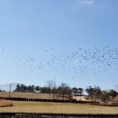 평화공원(내부) 이미지