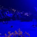 TIMF 앙상블X아트프로젝트 보라 <발레 메카닉> 이미지