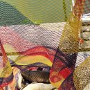 운천낚시공원 이미지