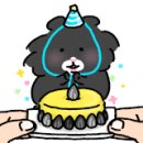 베이푸딩천안두정점 이미지