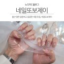 네일또보제이 이미지