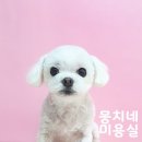 뭉치네 미용실 이미지