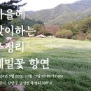 농업회사법인㈜백민구절초연구소 | 2024년 10월 꽃축제, 2024년 10월 가볼만한곳, 이번 주말 가볼만한 곳, 10월초 가볼만한 곳, 낭성 추정...