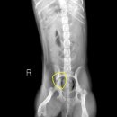 새롬메디칼 이미지