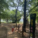파주 운정 호수 공원 유아 숲체험원 주말 아이랑 가기 좋은 공원 나들이
