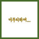 용수골꽃양귀비축제 이미지