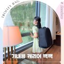 (합)하나로택시 | 기내용 캐리어 백팩 사이즈 20인치 노트북 여행용 트롤리백 추천