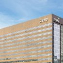 교보생명 이미지