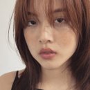 헤르만헤어 - 의정부시 | 헤르만헤어