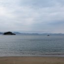 일월애관광농원 이미지