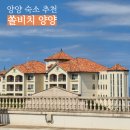 선사유적로 | [양양] 프라이빗 비치가 있는 양양 숙소 '쏠비치 양양' 디럭스 스탠다드 더블 객실 후기