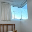 설악애견 이미지