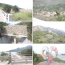 1004의 바다