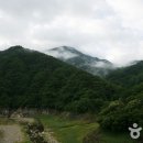 충주호반힐링 티스토리