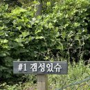 아기와 태안여행 자쿠지 있는 깔끔한 펜션 스테이 황도 _갬성있슈 룸 내 돈 내산 후기