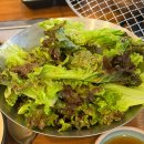 미추홀구 학익동 가성비 맛집 회식장소로 추천해요 / 마포화로집 내돈내산 솔직후기