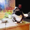 곽만근갈비탕대전갈마점 이미지