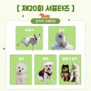 개바라기 | 2023년 제 20회대구펫쇼 서포터즈 활동 후기