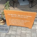 다정베이커리 동탄 호수공원 레이크꼬모 카페 빵 맛집 (아기의자 유무)