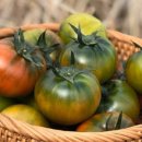 제우스농장 이미지