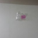 윤가이불 이미지