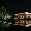 경복궁 Daum카페