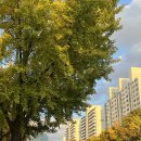 감일백제로,순환로,37번길 | Nov.① 구석구석 살이 찌도록 무엇이 맛있었나