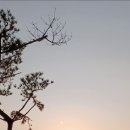 바다를 봄시롱 이미지