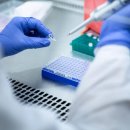 랩스프로 이미지