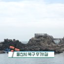 제전돌미역