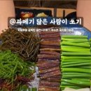 해초과메기대전