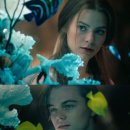 애견수족관 이미지