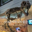 서울 서대문자연사박물관 공룡 좋아하는 아이랑 갈만한곳 관람 후기