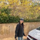 더아이잗롯데아울렛 이미지