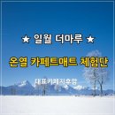 일월 전기매트 / 전자파 걱정없는 일월 더마루 온열 카페트매트