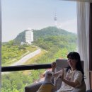 VIP 애견 이미지