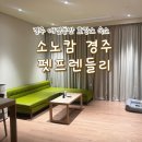 스위트펫 | 소노캄 경주 스위트 펫프렌들리 애견동반 객실 숙박 후기 (+필수 구비서류)