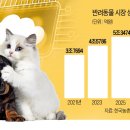 펫클라우드 이미지