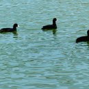 빛가람 호수공원 이미지