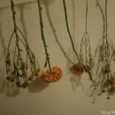 포톤바이오 주식회사 이미지