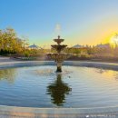 배꽃향기종수원 | 수원 가볼만한곳 일월수목원 수원시민 할인 입장료 주차장 스탬프