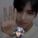니꼬내꼬 네이버블로그