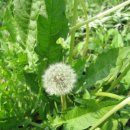 둥이네농장2 이미지