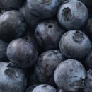 조현덕농장 이미지