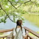 스시센코오 이미지